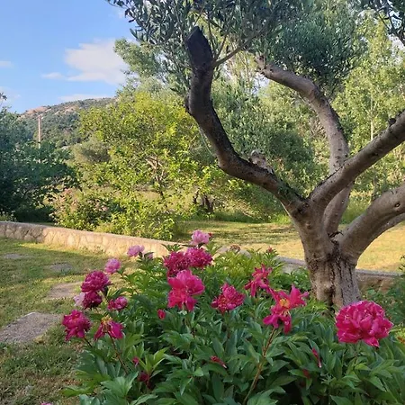 아파트 Moderni Tina *