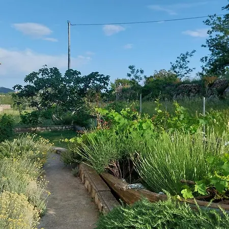 아파트 Moderni Tina *