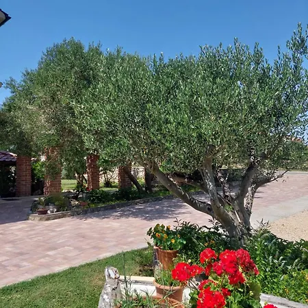 아파트 Moderni Tina